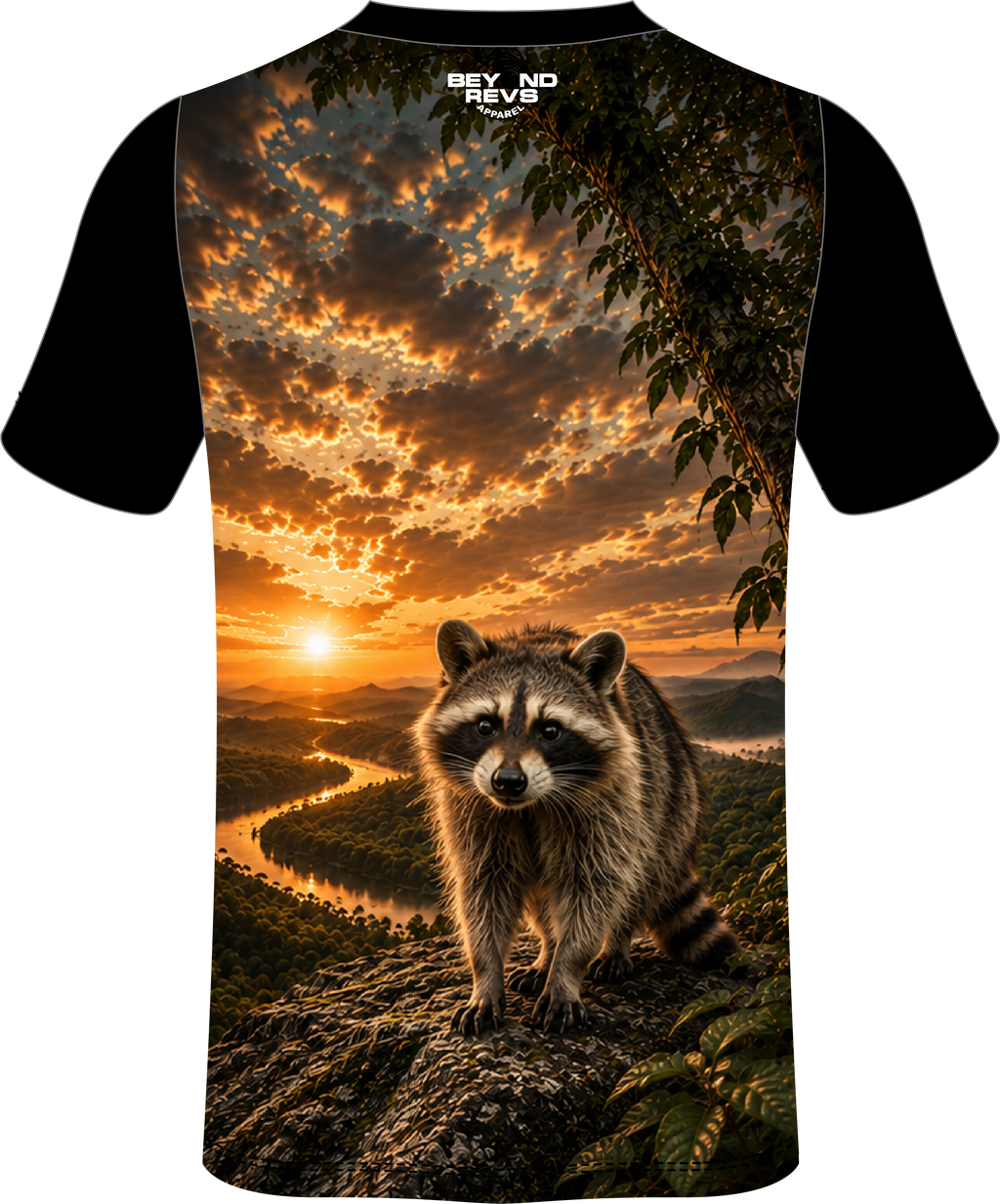 Racoon