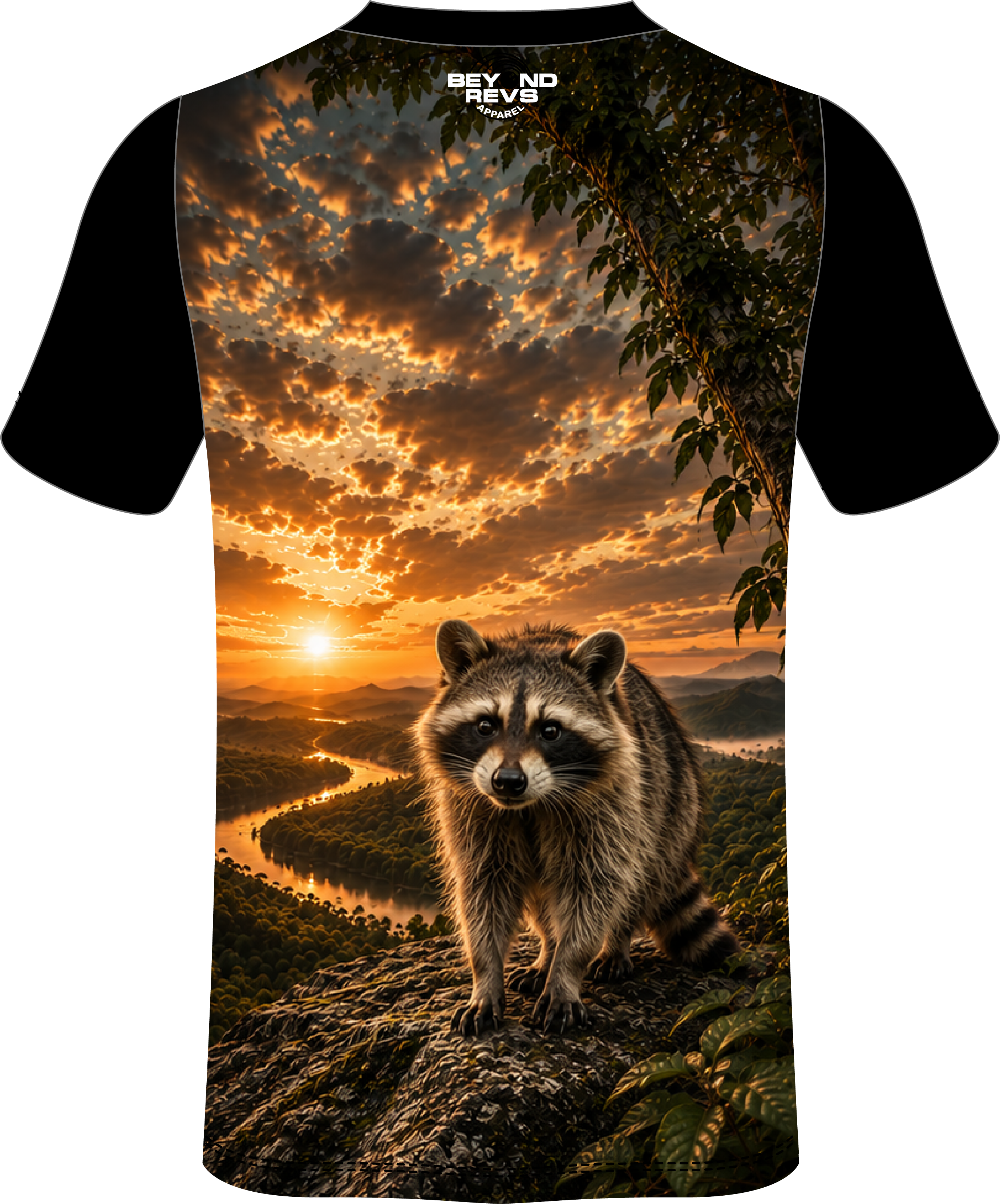 Racoon