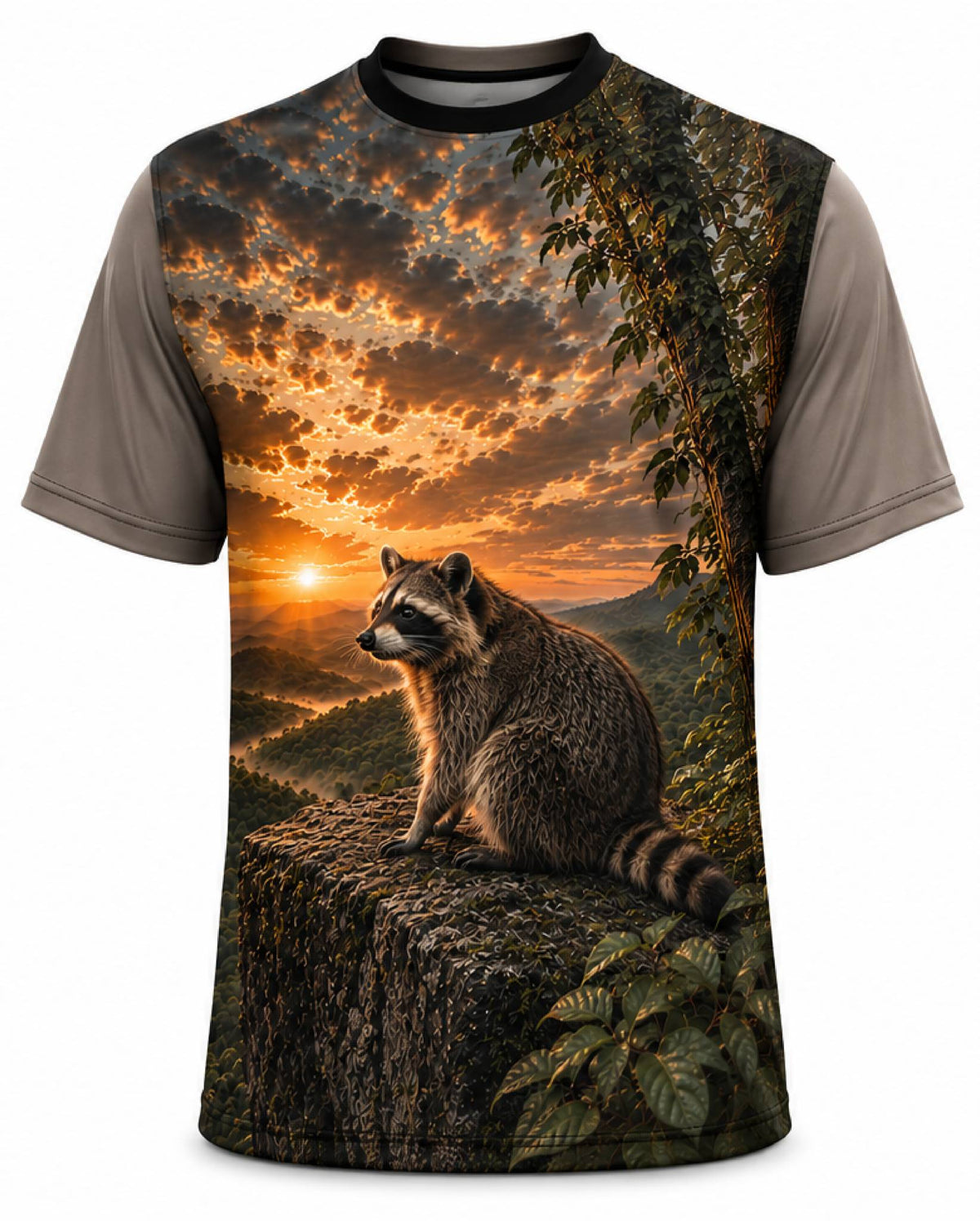 Racoon