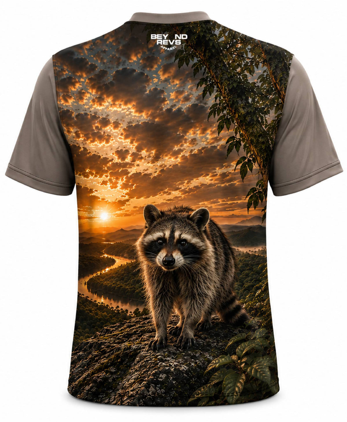 Racoon