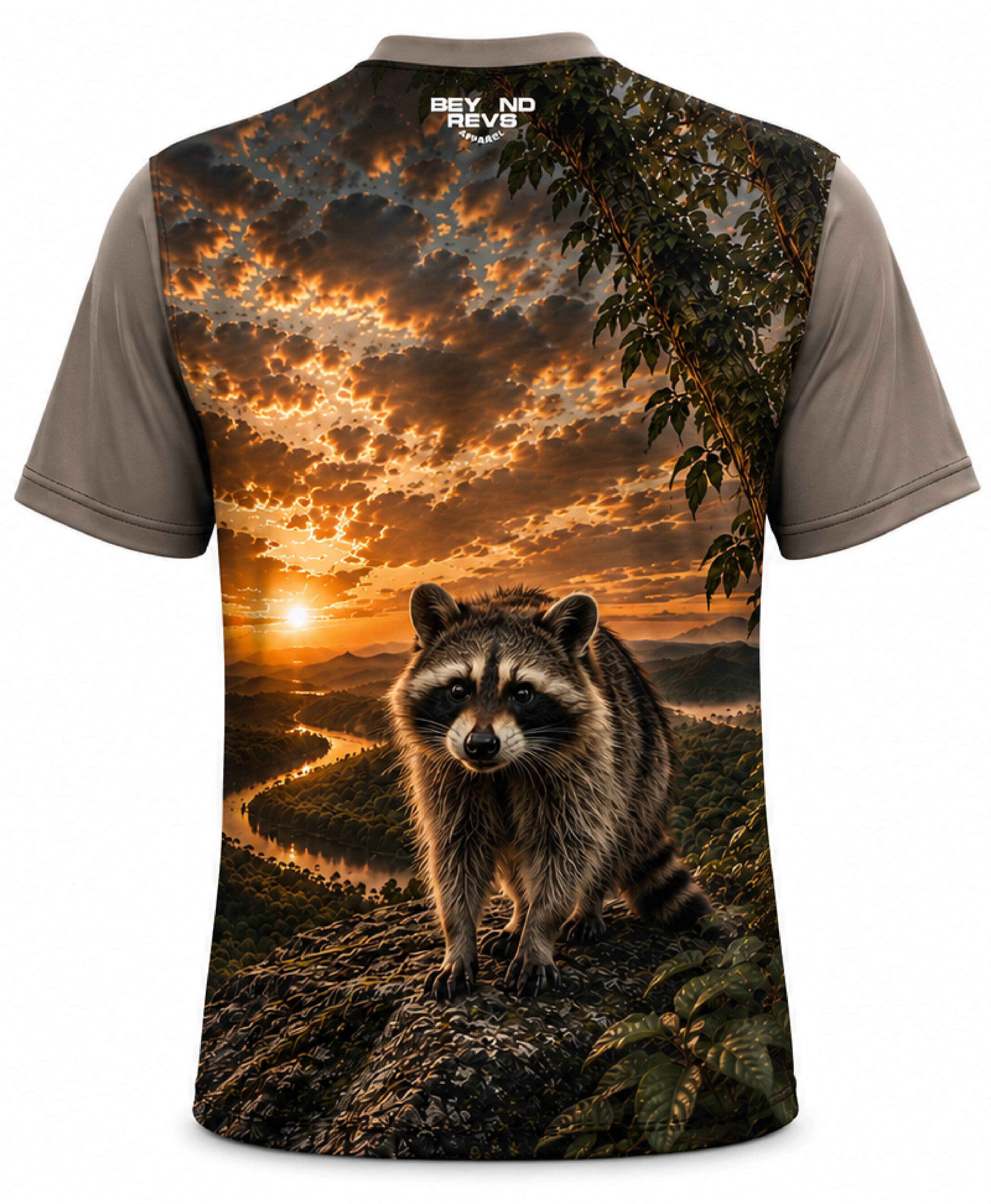 Racoon